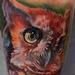 Tattoos - Owl in progress - 88807